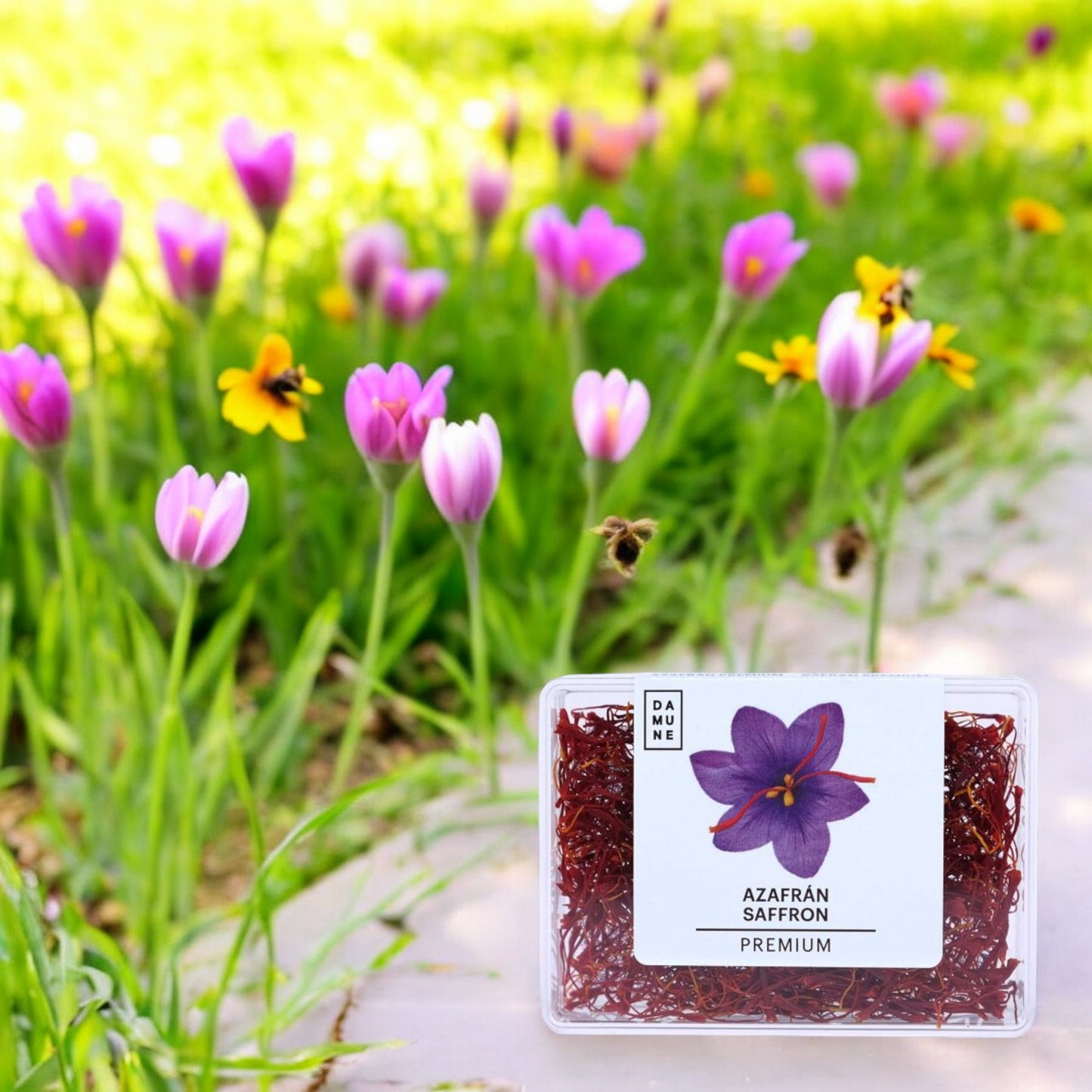 DAMUNE Safranfäden Premium, 10g