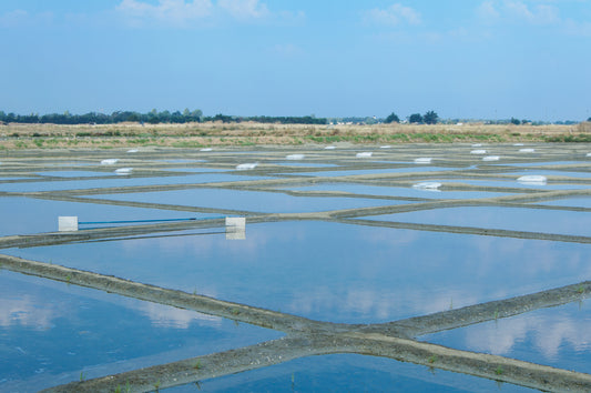 Fleur de Sel
