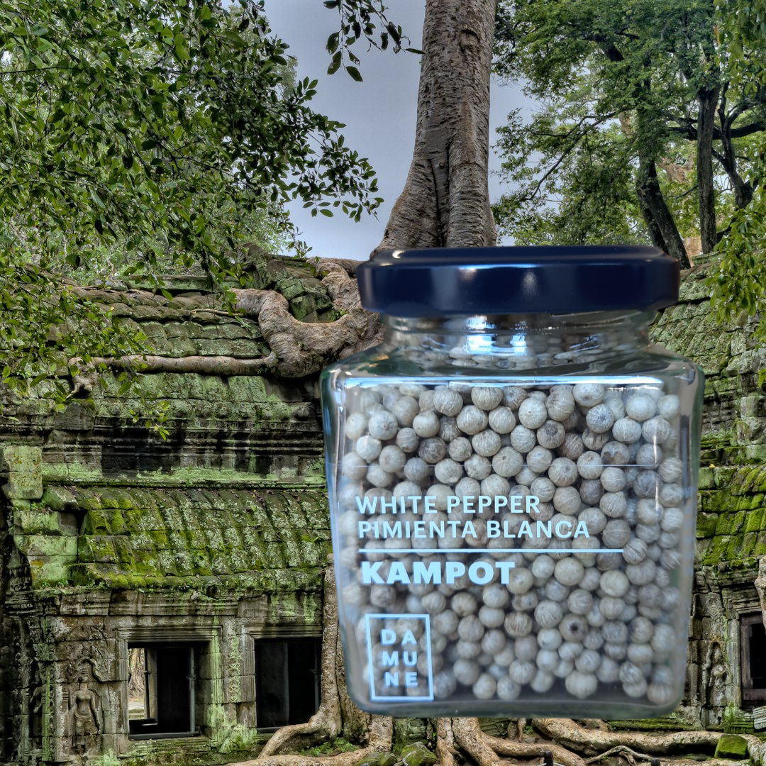 DAMUNE Weisser Kampot Pfeffer, 120g